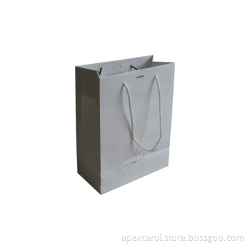 Paper Shopping Bag 170-Cp009